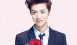 鹿晗评价美食爆料视频是真的吗,鹿晗美食爆料视频真实性揭秘